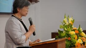 s-DSC03993
